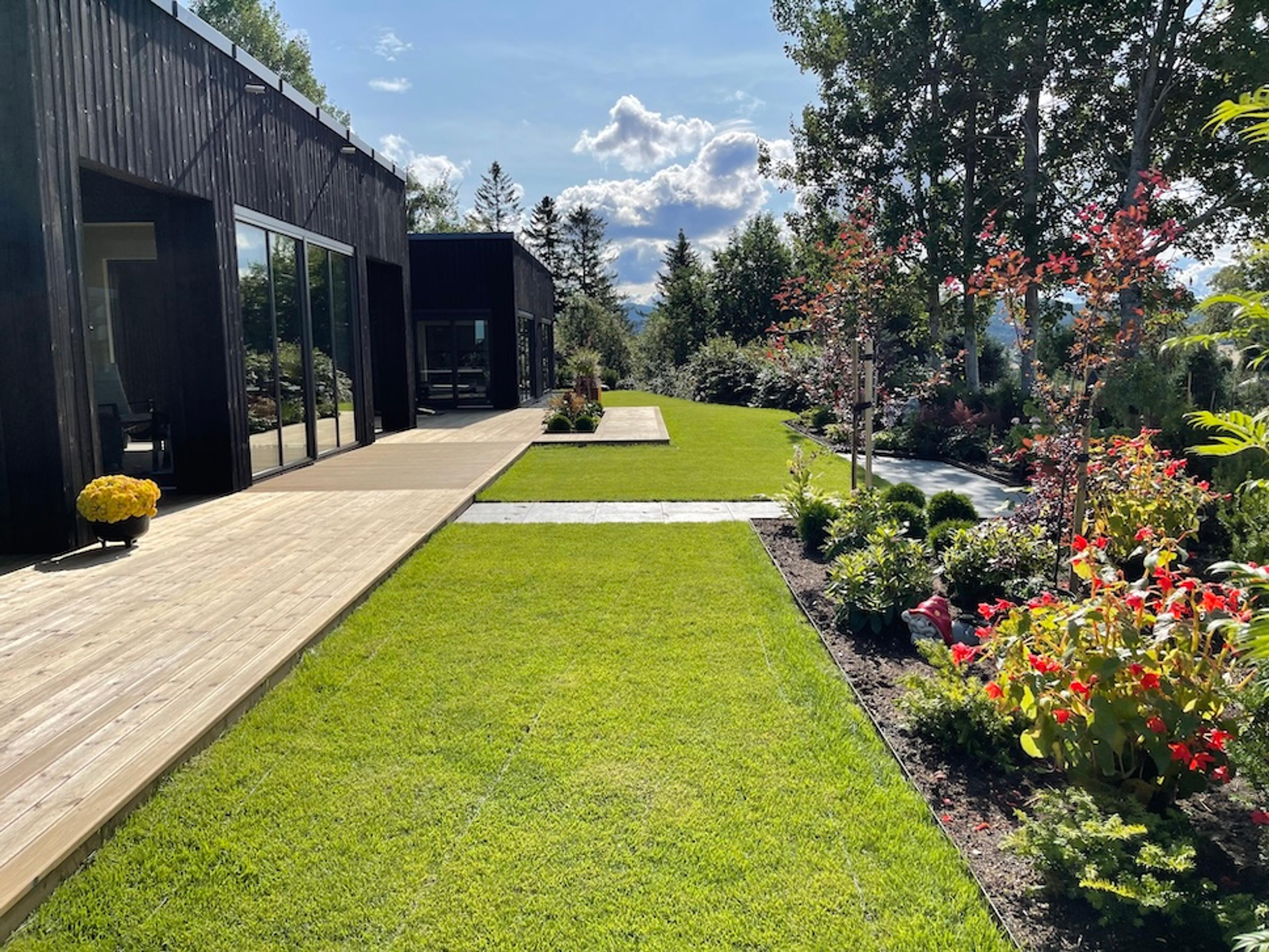 Hage med grønt gress, platting og blomster