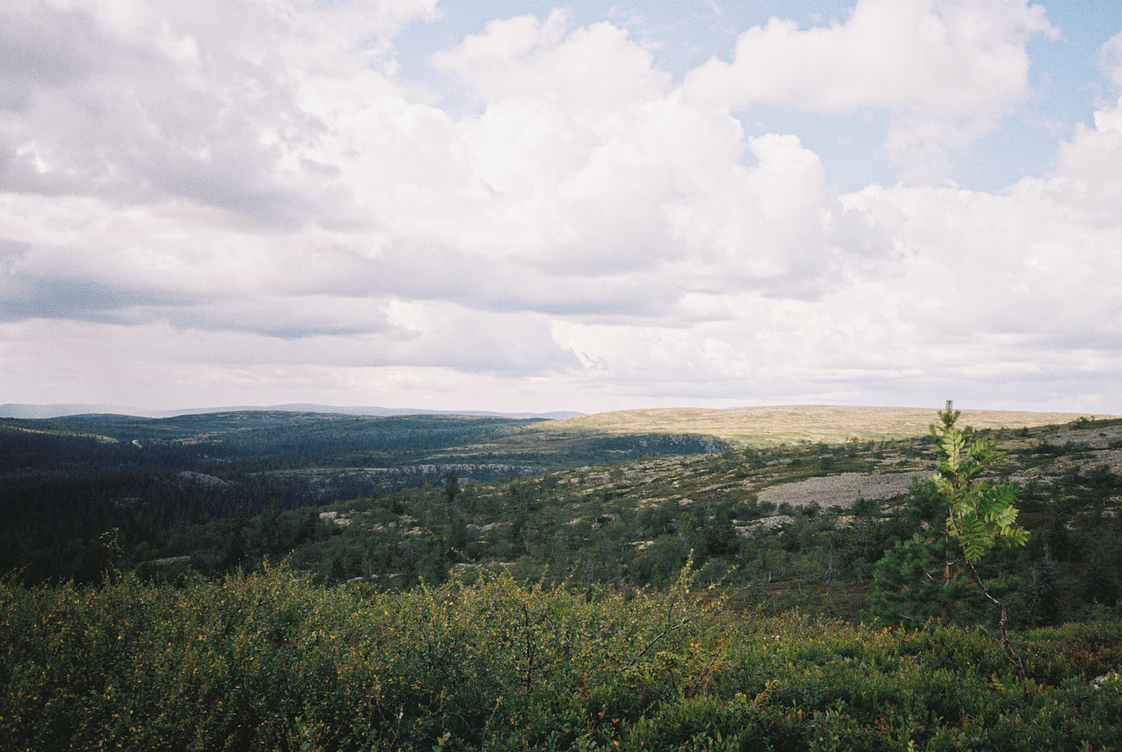 fjellandskap