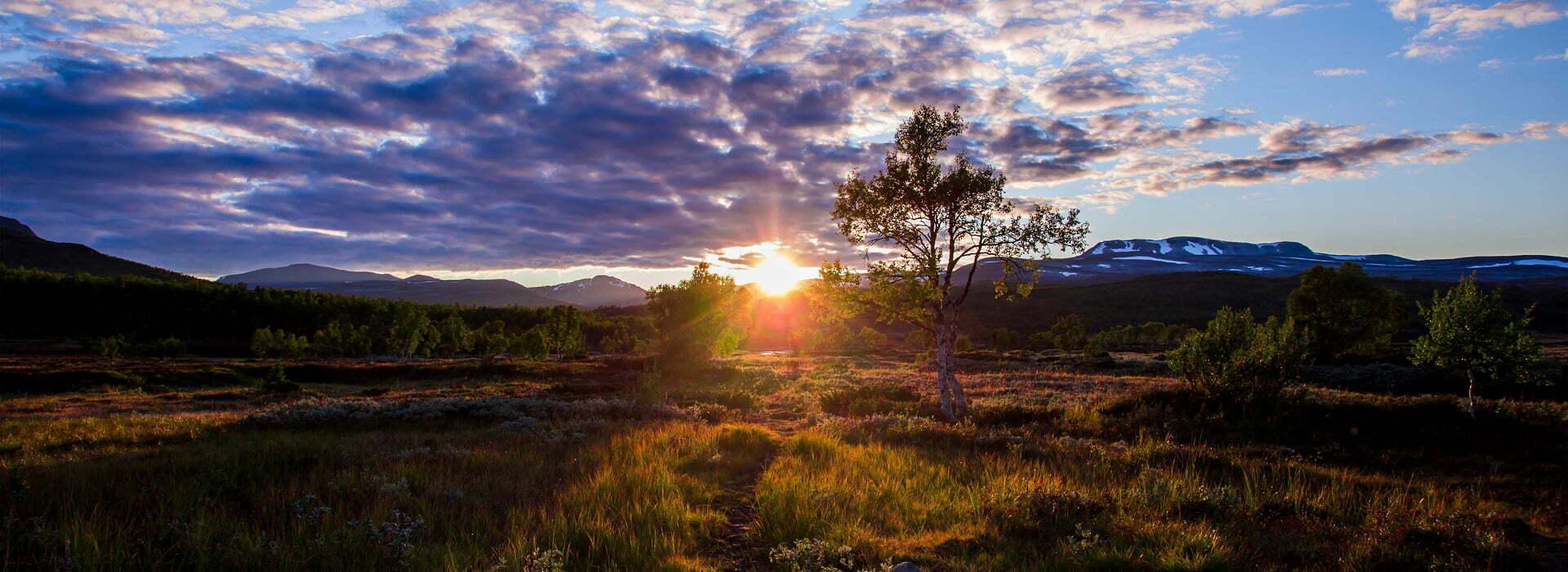 Trollheimen som nærmeste nabo