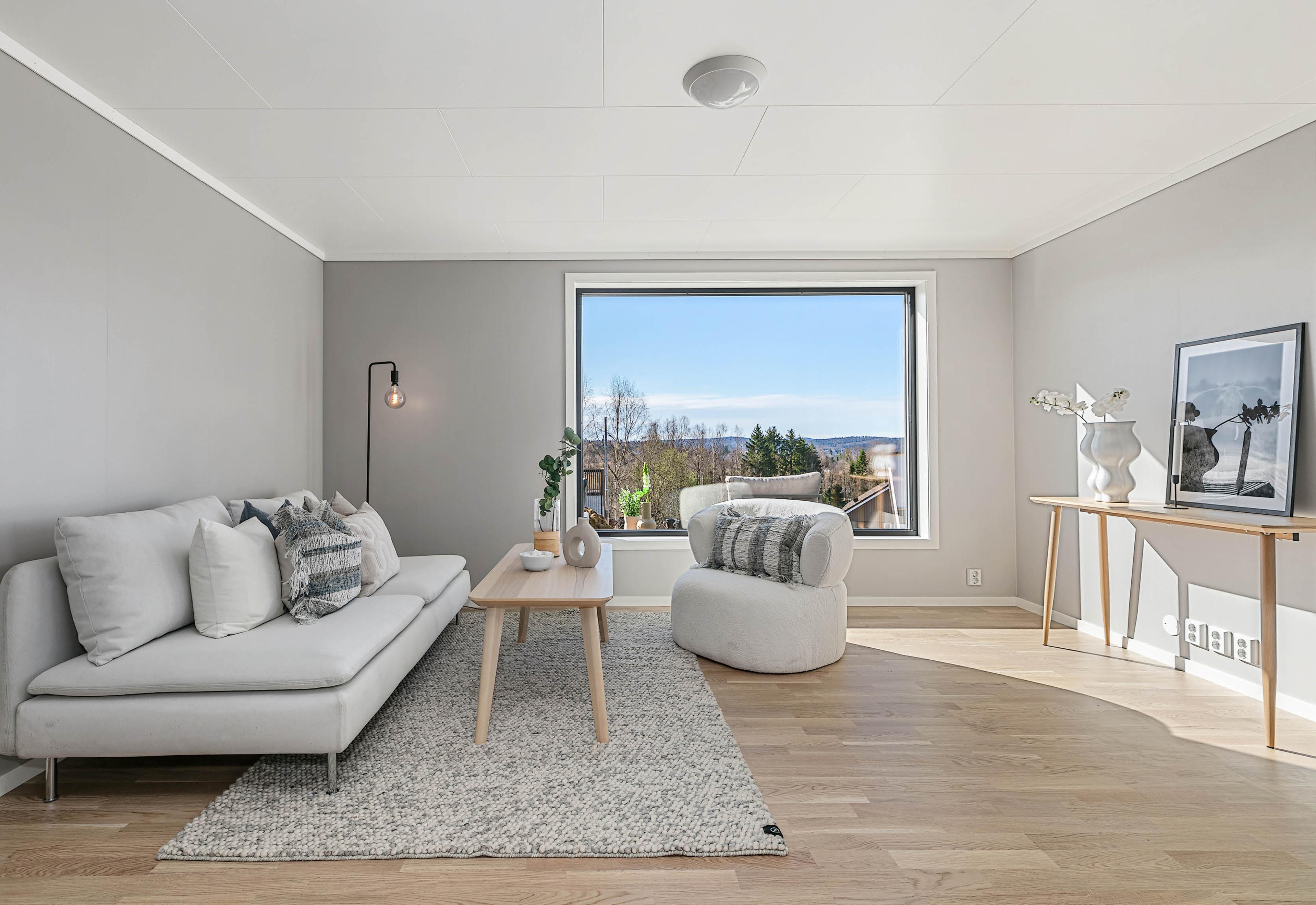 TV stue i eneboligen