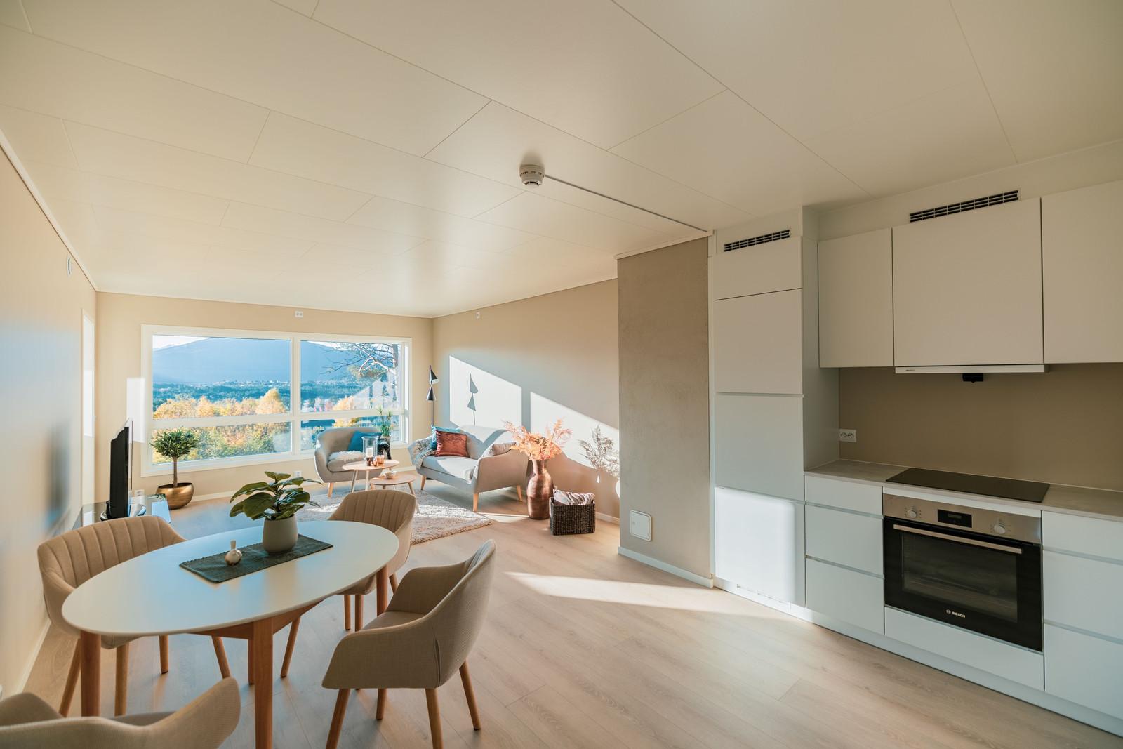 Nihusbakken Skodje - Flotte 3-roms eierleilegheiter med nydelig utsikt