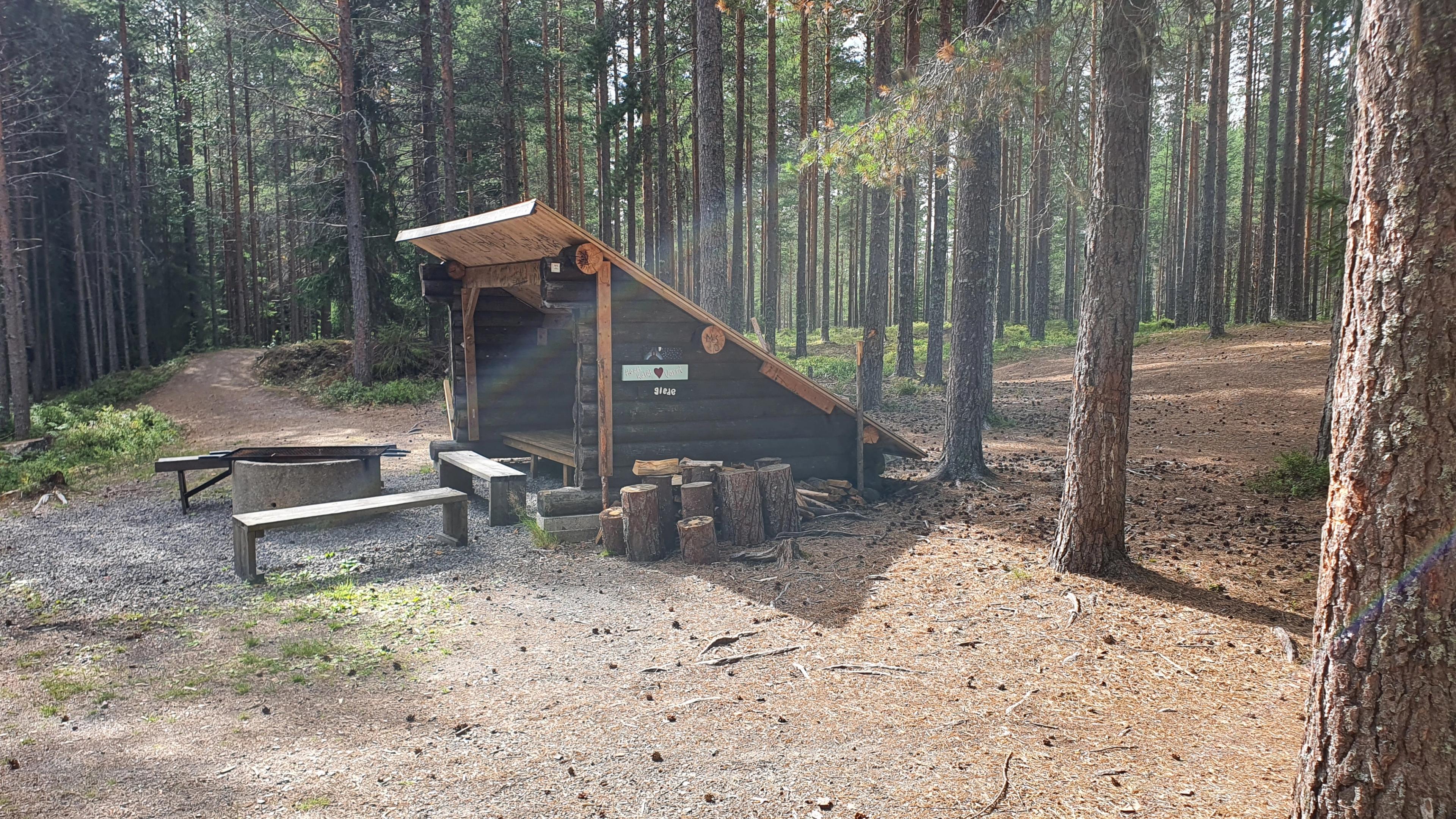 Skogsområde