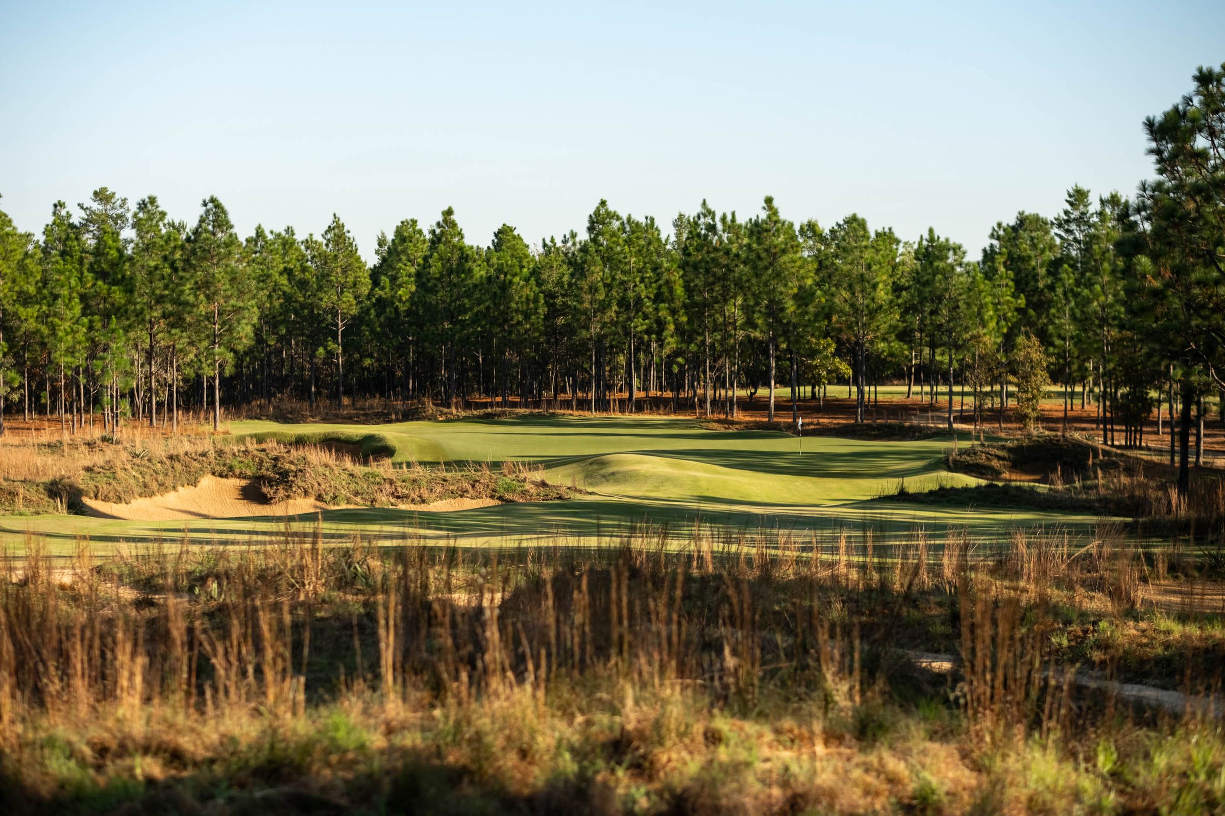 The Fall Line golf course — hero