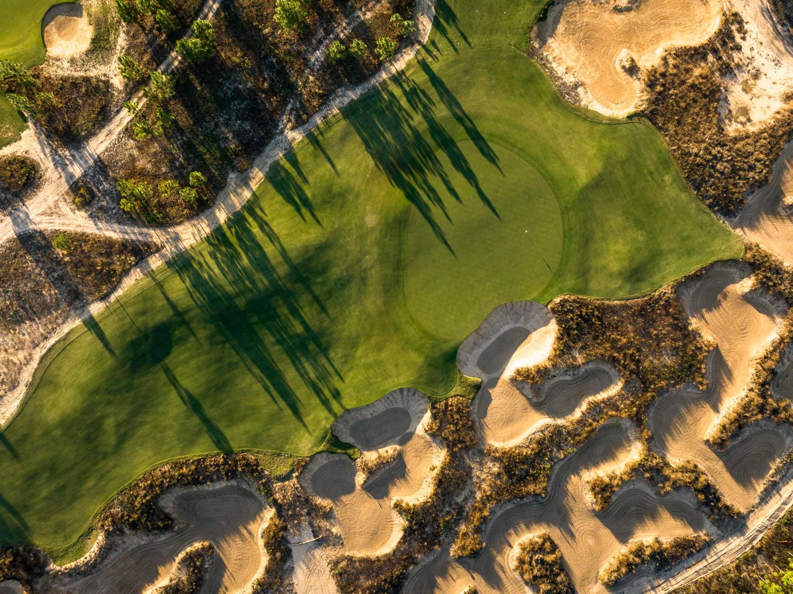 The Fall Line golf course — image 4