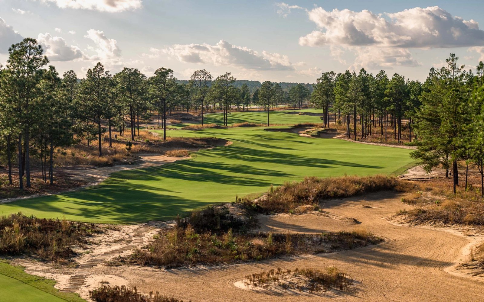 The Fall Line golf course — image 12