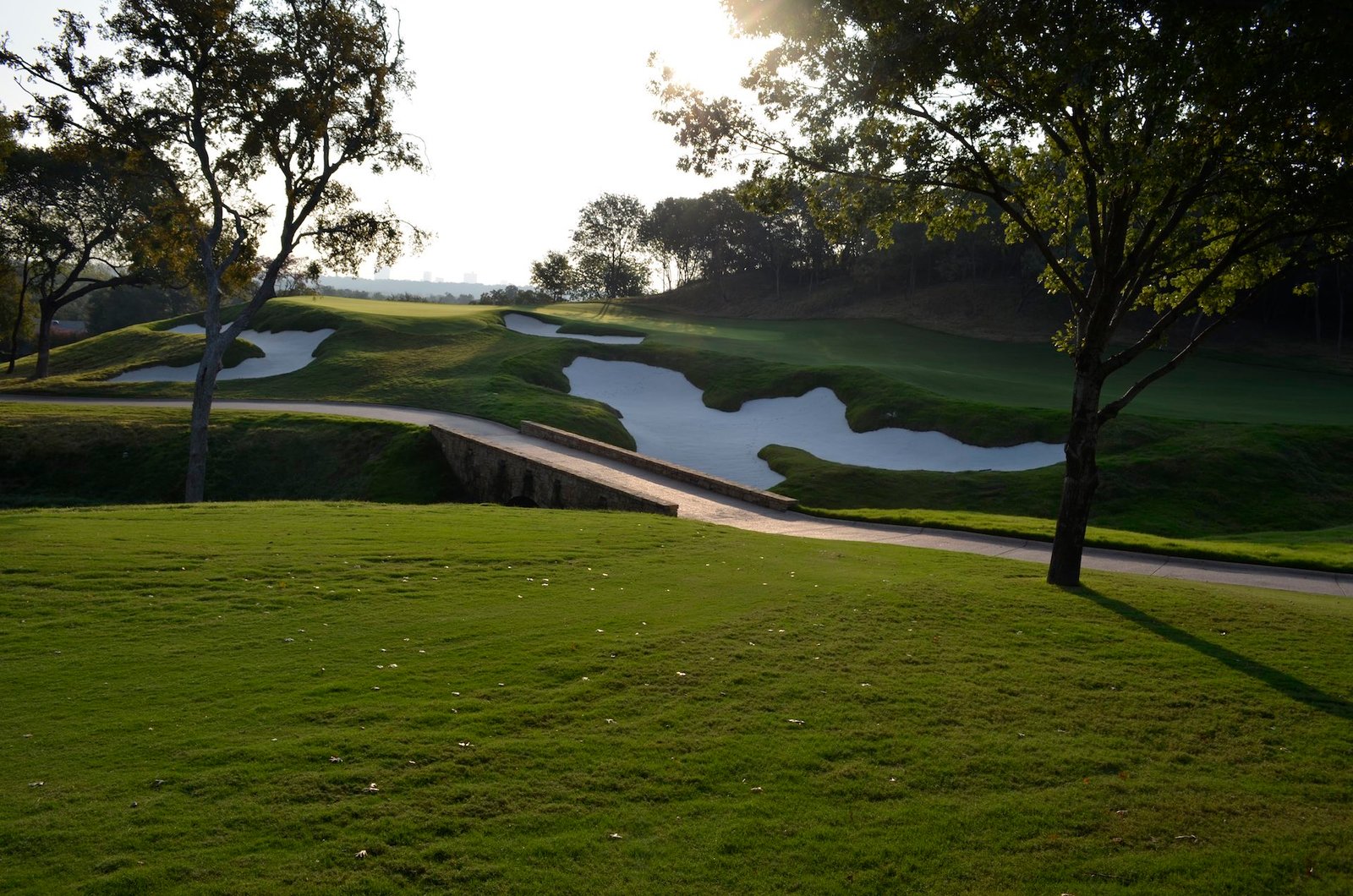 Shady Oaks golf course — image 1