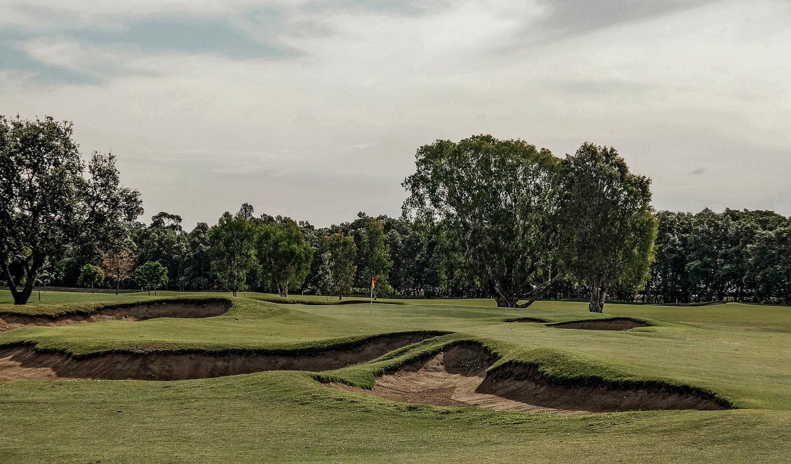 Royal Queensland golf course — image 4