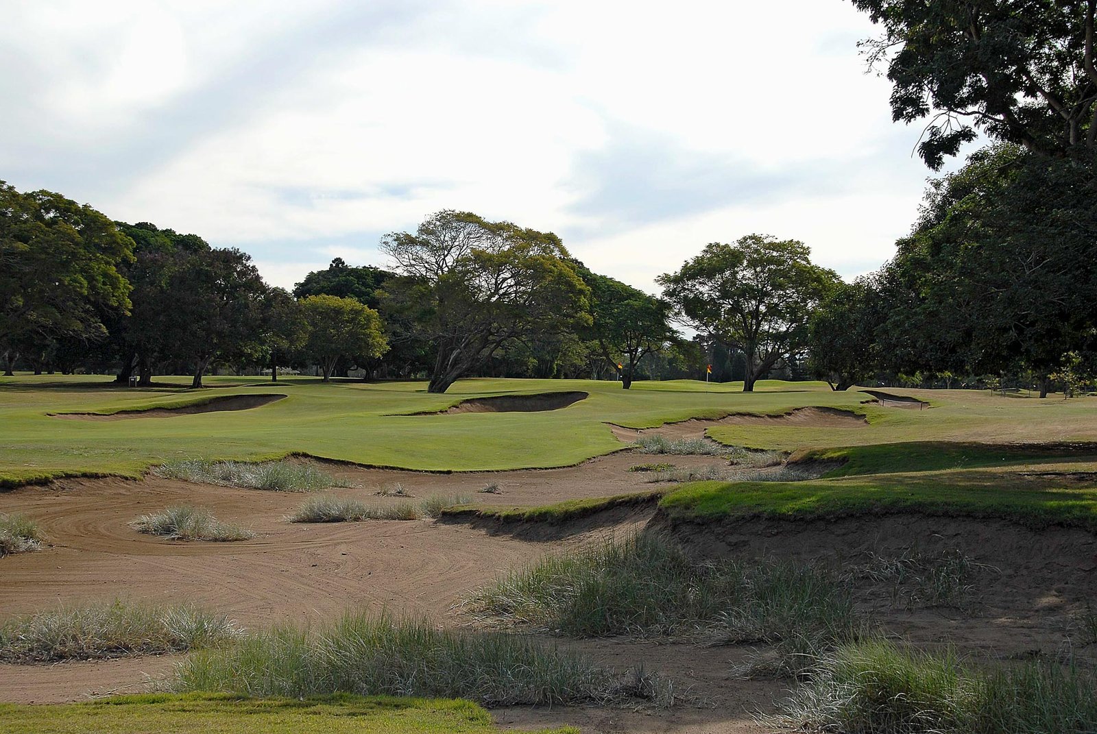 Royal Queensland golf course — image 1