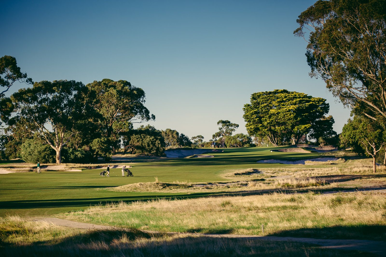 Victoria golf course — image 6