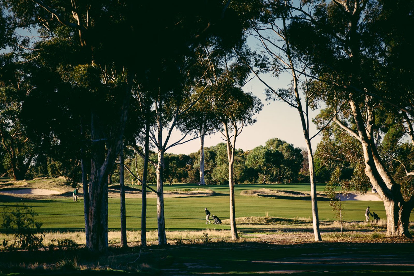 Victoria golf course — image 8