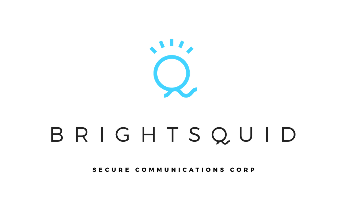 Brightsquid