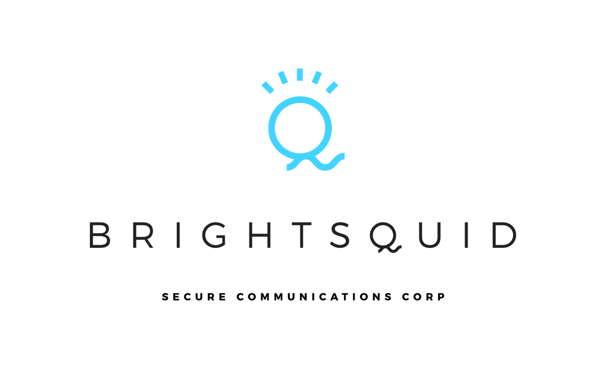 Brightsquid