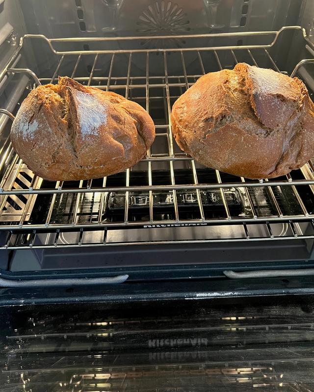 Two dark rye loaves on the oven rack, dusted with flour and split along the scoring
