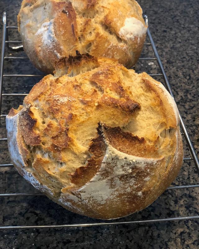 Two round sourdough loaves cooling on a wire rack, their tops split open along the scoring