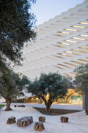 The Broad public plaza with century-old Barouni olive trees