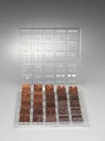 Bittersweet - Diller Scofidio + Renfro