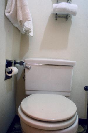 Toilet Bathtub