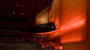 Internal glow of wood skin