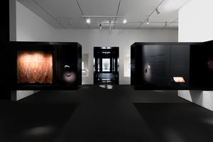 Installation view at the Dallas Museum of Art