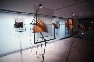 The Desiring Eye: Reviewing the Slow House, installation at Gallery Ma, Tokyo, Japan