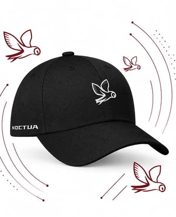 Casquette Noctua