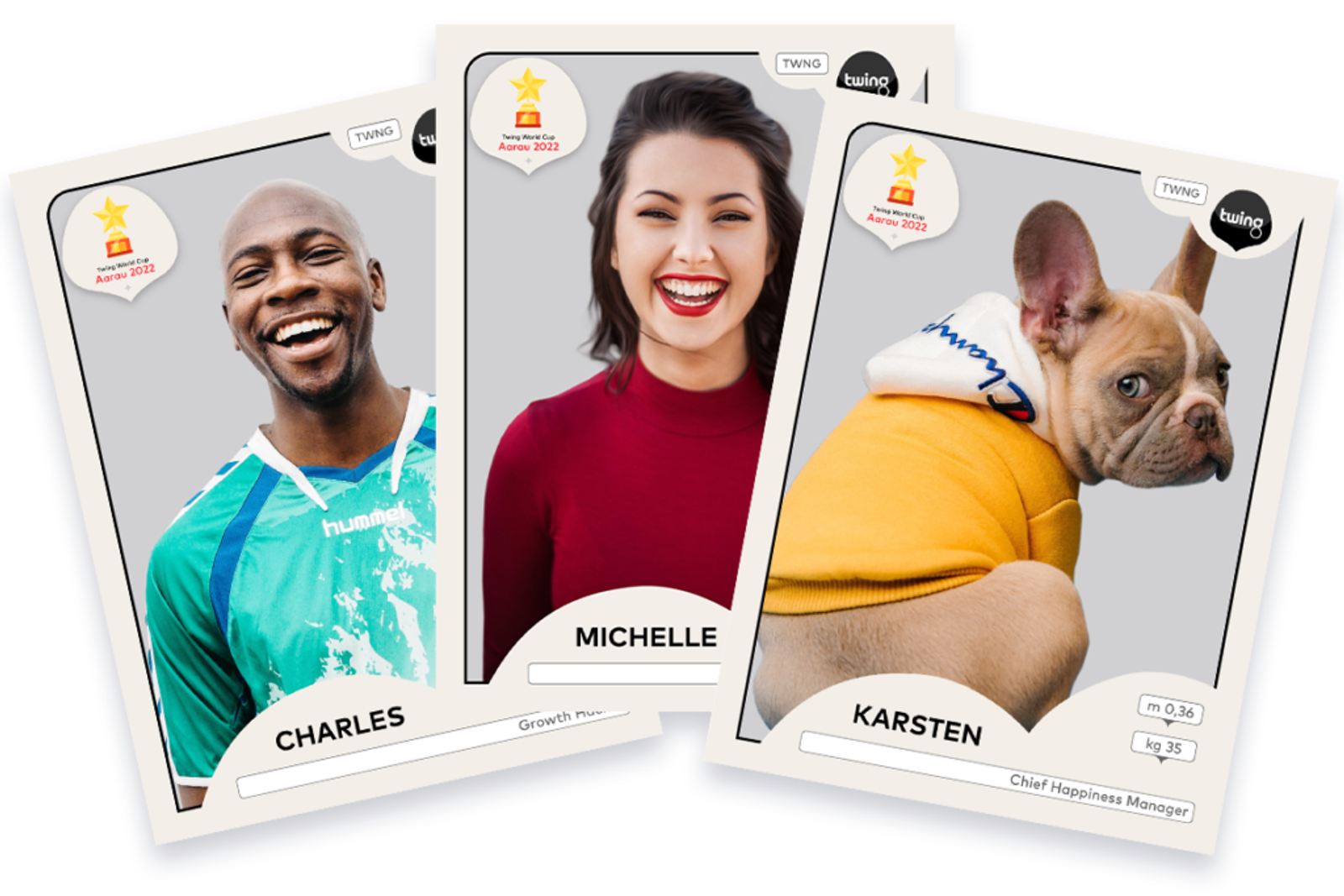 Panini pictures twing werkeartikel