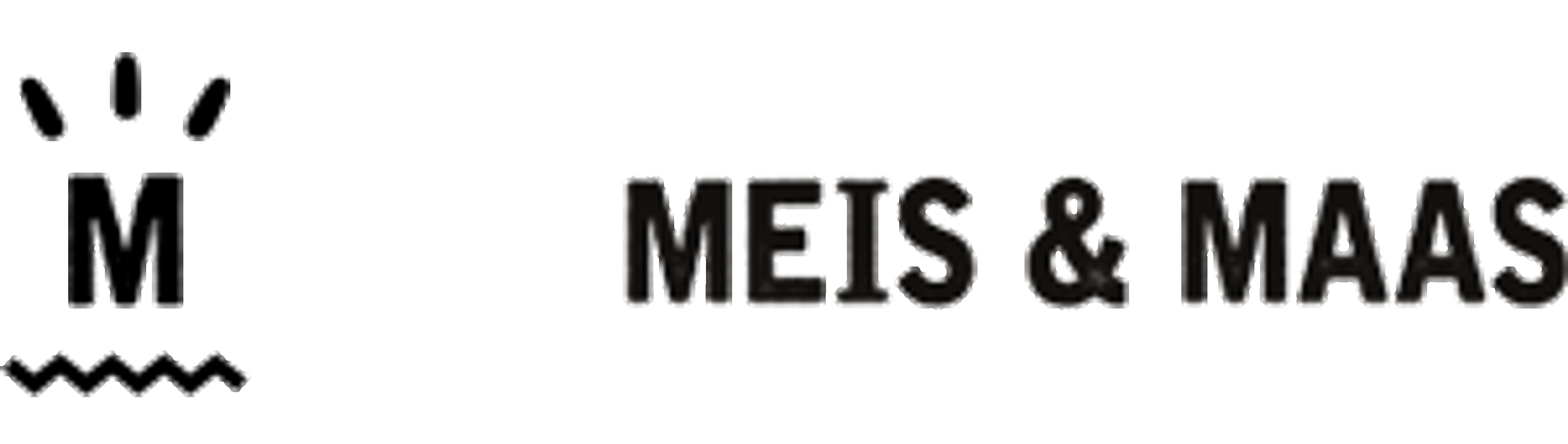 JP Publising verder onder de naam MEIS & MAAS