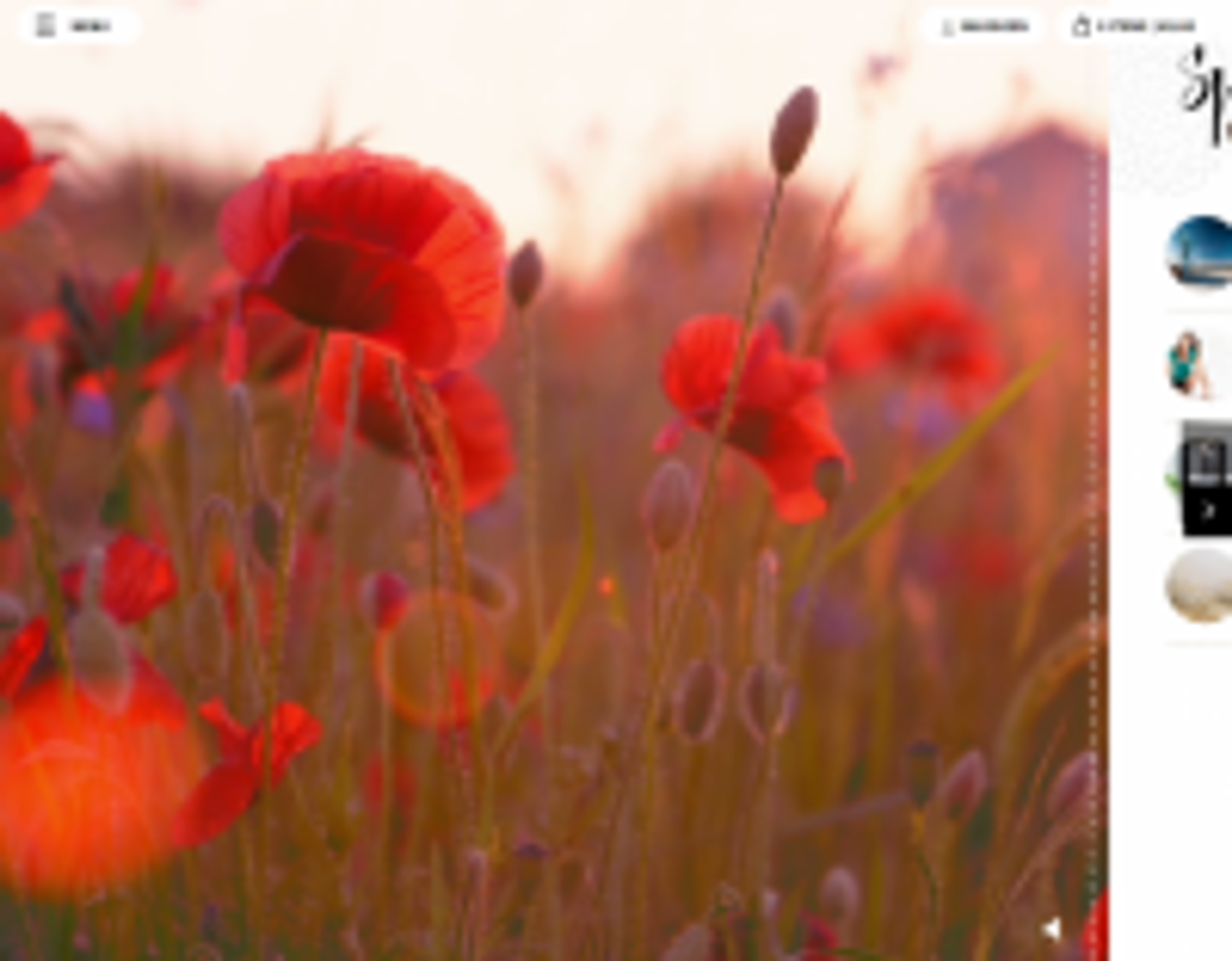 Happinez restylet online platform