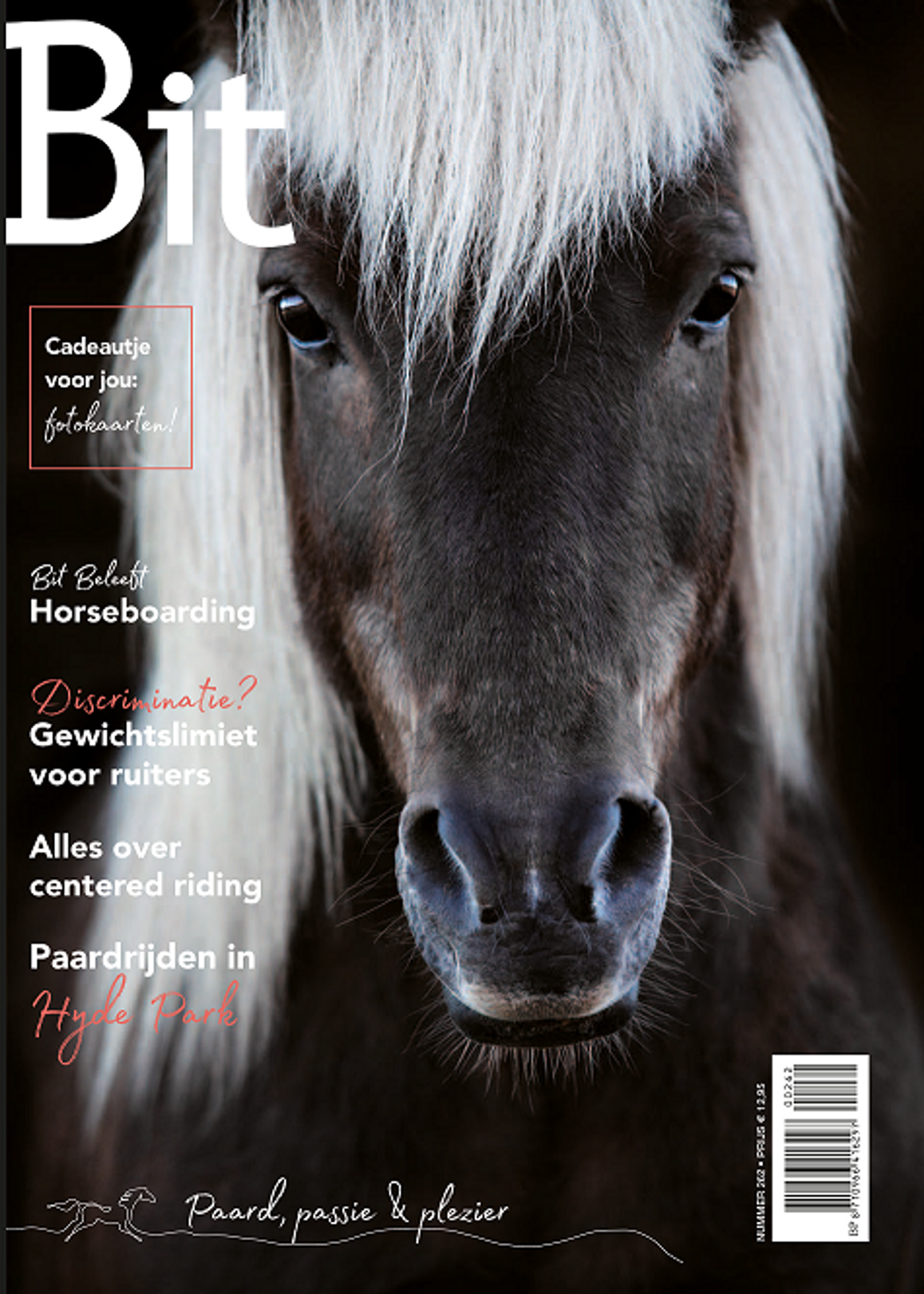 Bit magazine op een kleiner formaat