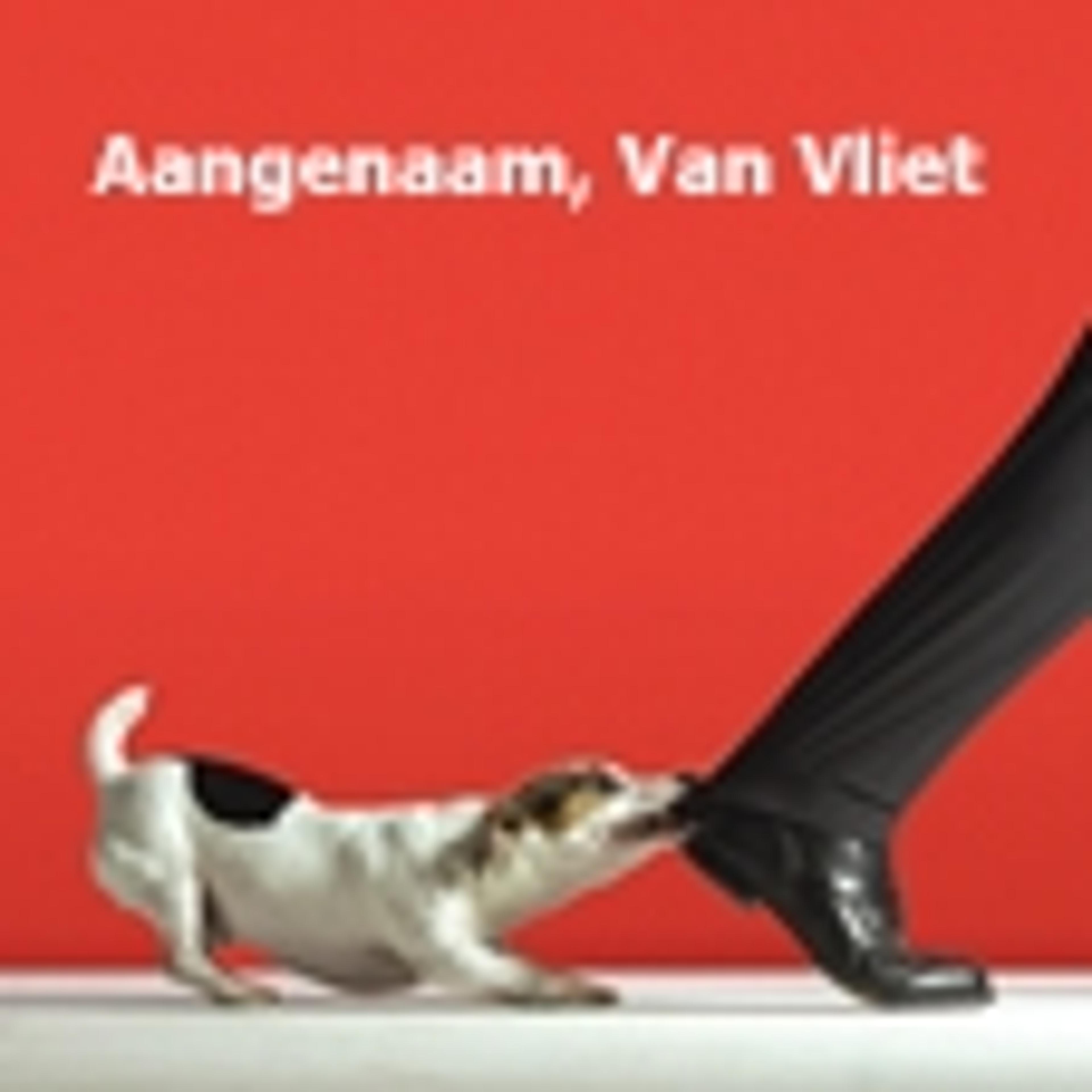 Nieuwe titels Bureau van Vliet
