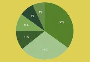 Pie chart