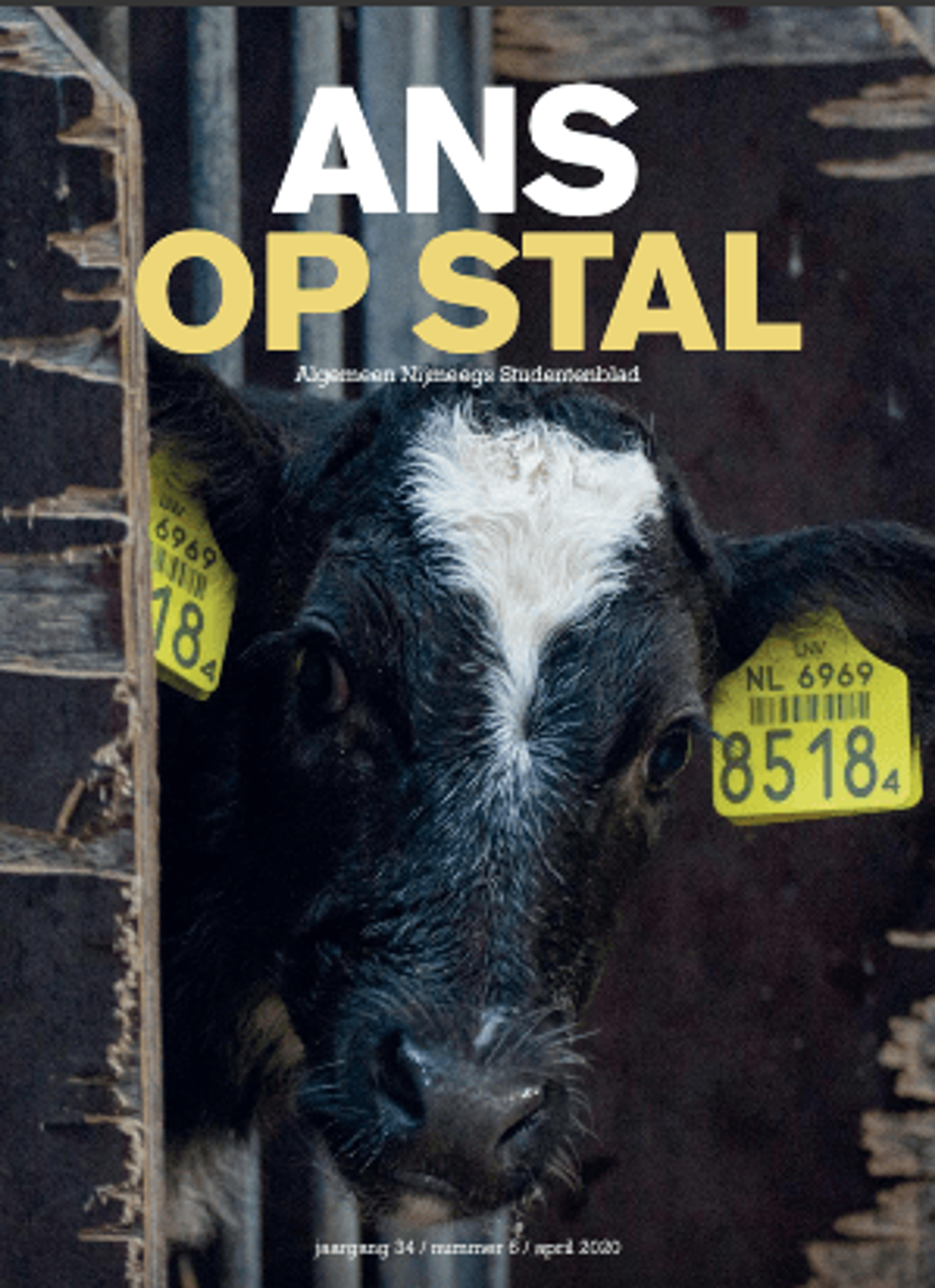 Advertentieverkoop ANS naar Martini Media