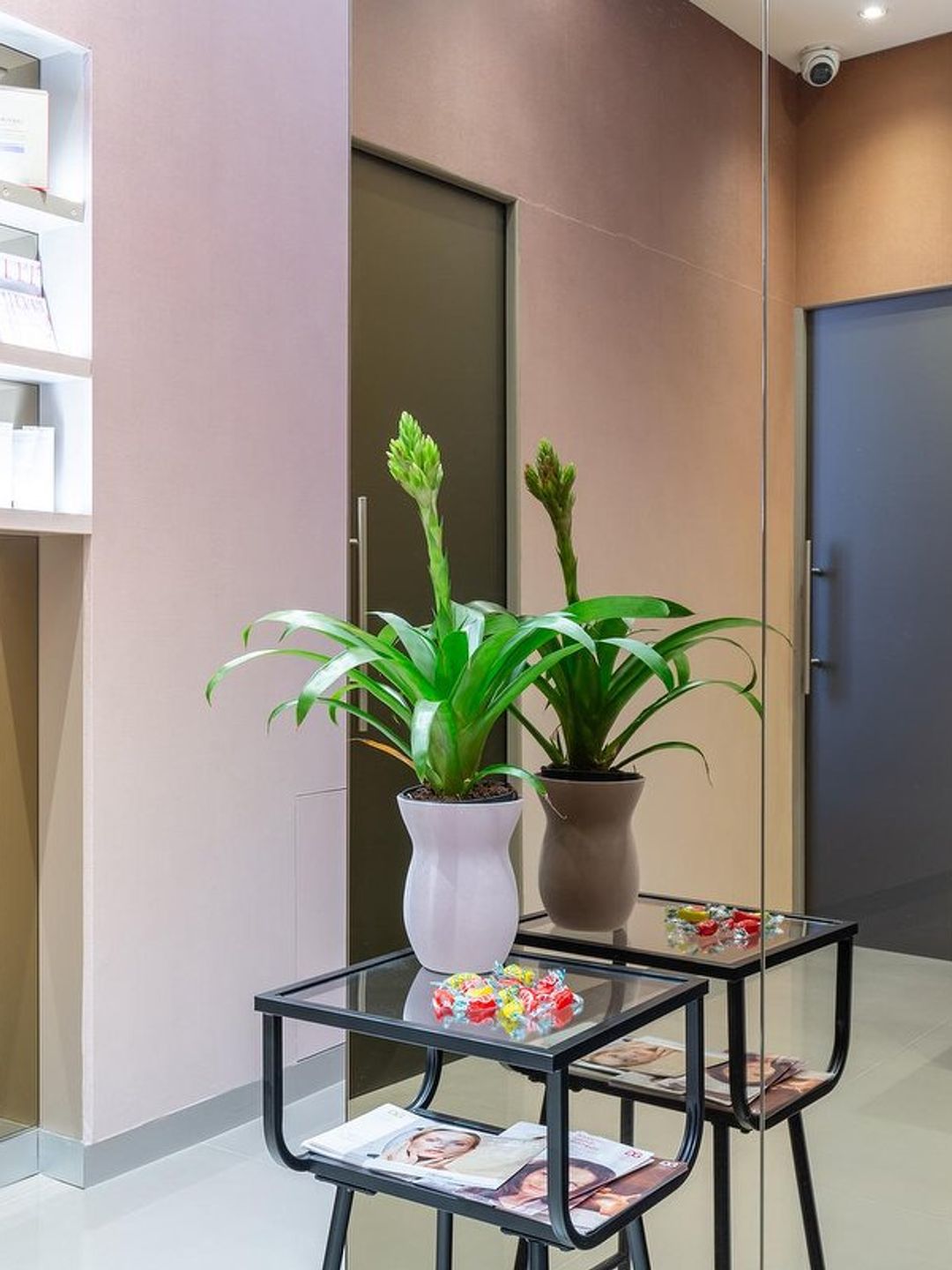 L’ingresso del centro estetico, con piante e prodotti in esposizione