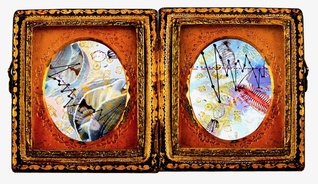 Photomontage with plankton (radiolarians, doliolids & tomospteriskils), water temperature charts, oyster shells, layered and set within an 19th-century daguerrotype photocase.