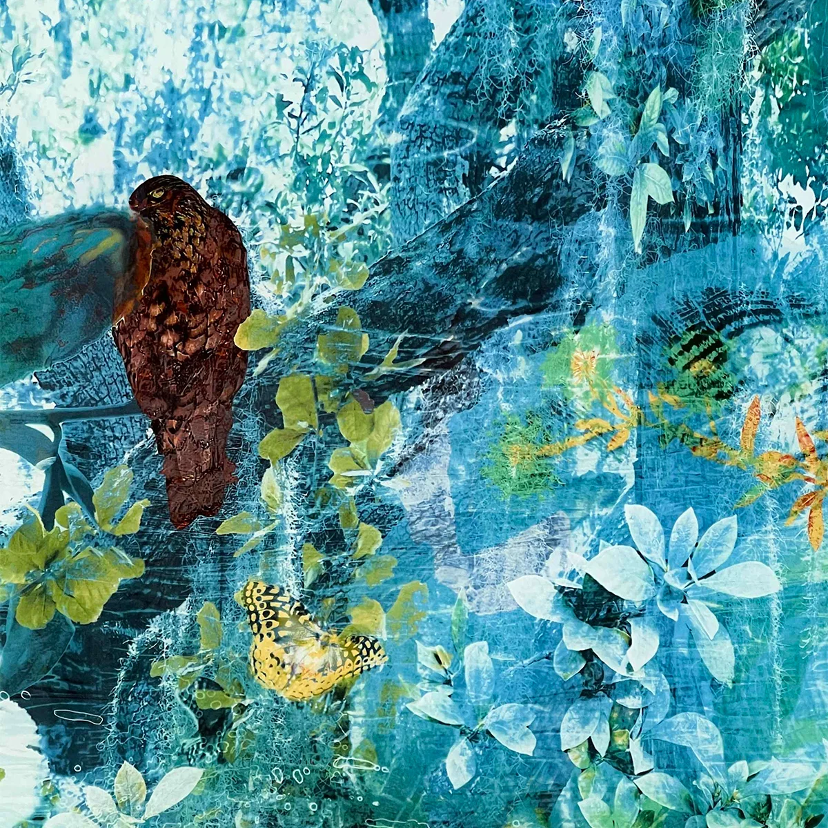 Ocean, Maritime Forest, and Marsh