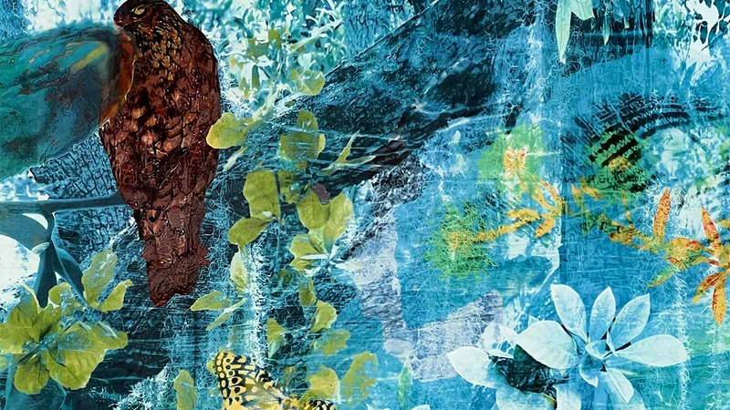 Ocean, Maritime Forest, and Marsh