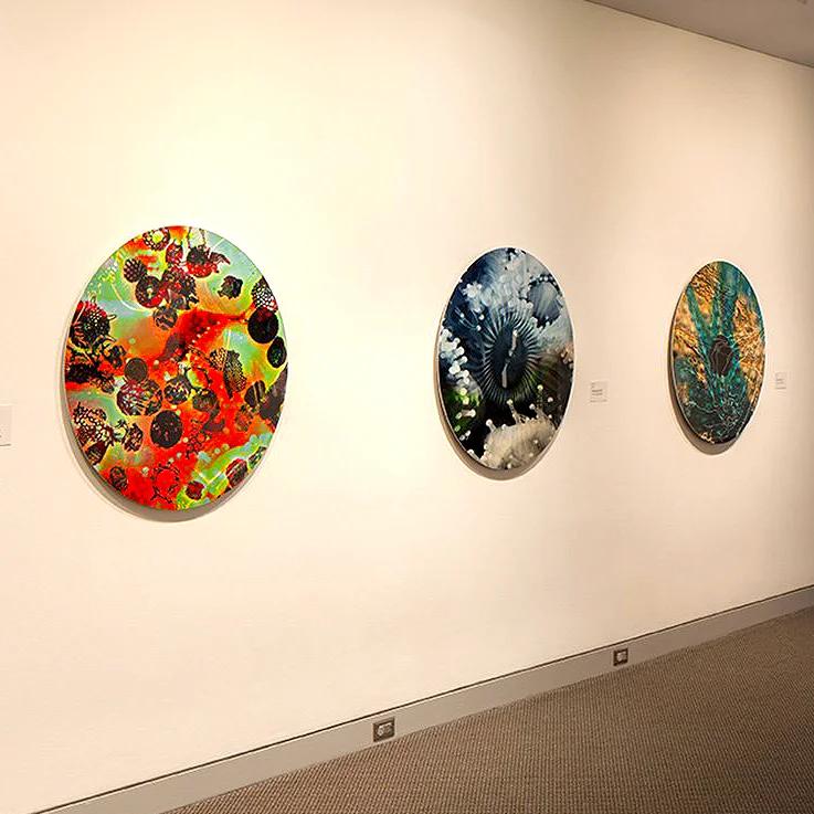 Exhibition: Sea of Cortez