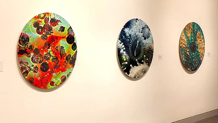 Exhibition: Sea of Cortez