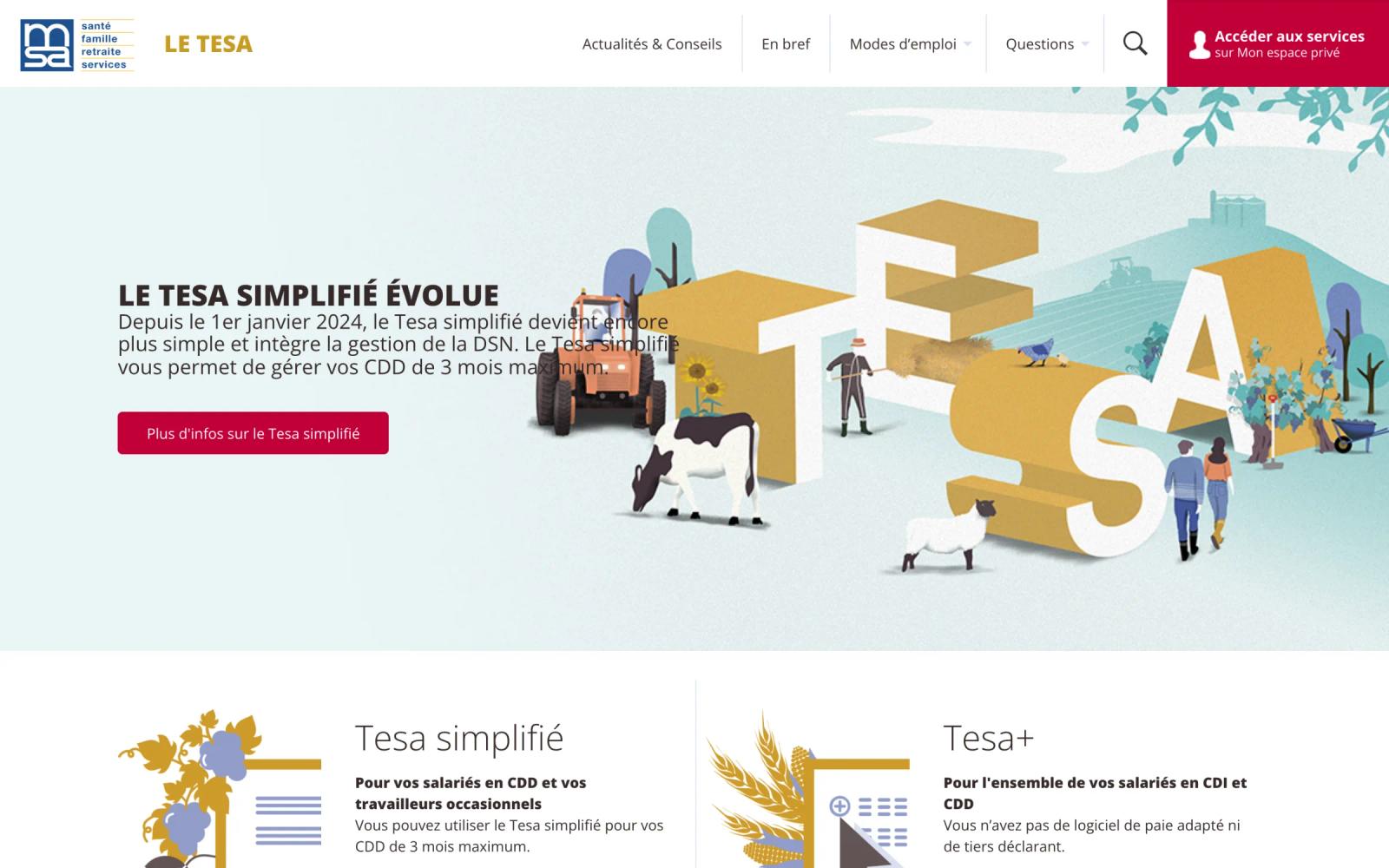 Page d’accueil du site TESA sur ordinateur, avec son illustration en volume