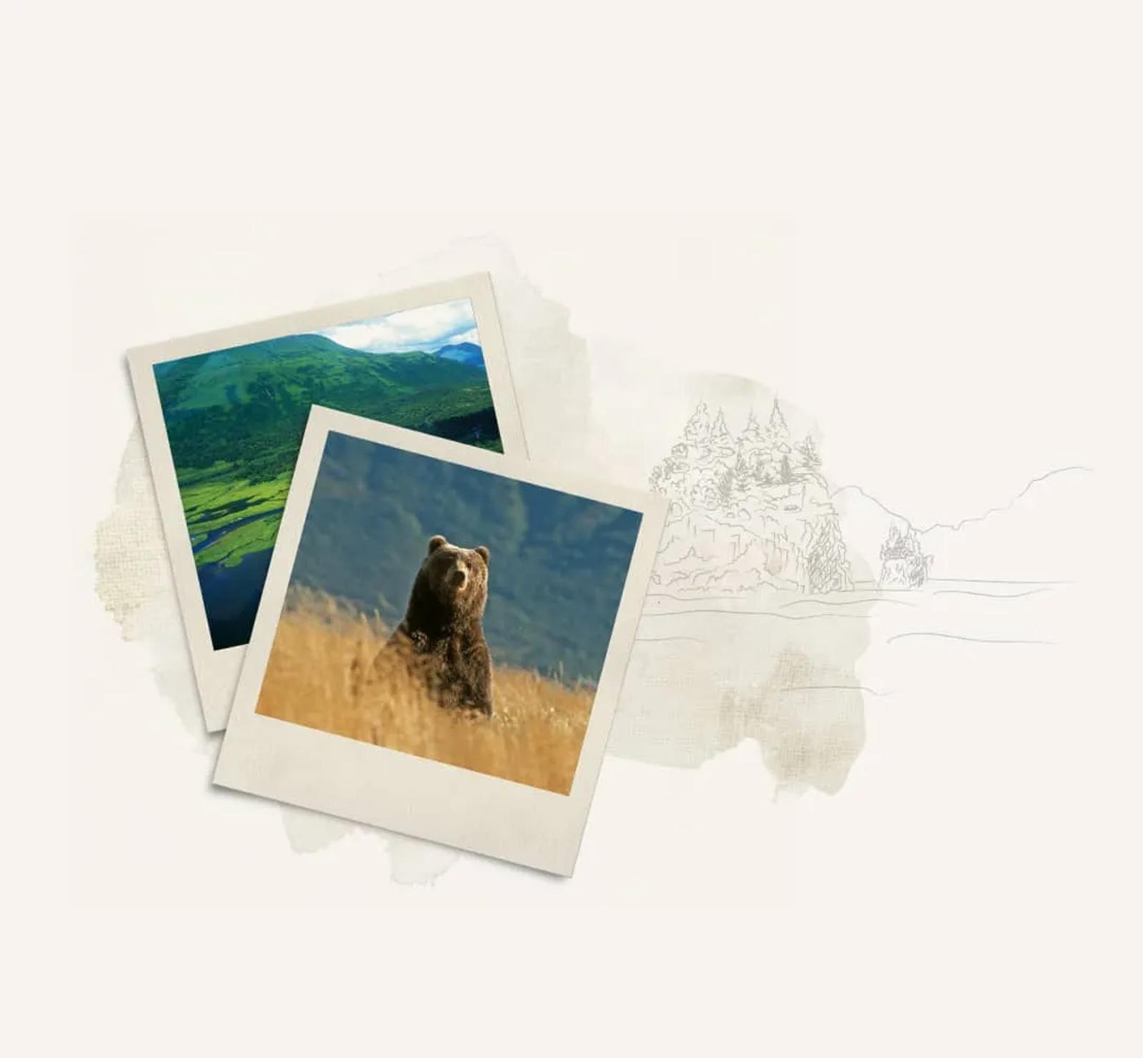 Terres Oubliées — visuel 2