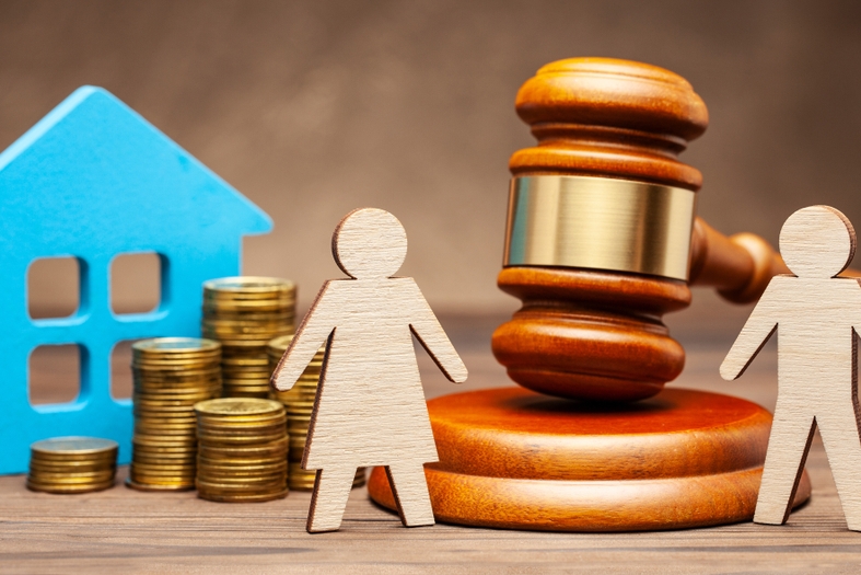 Image Can You Divorce Without Splitting Assets?