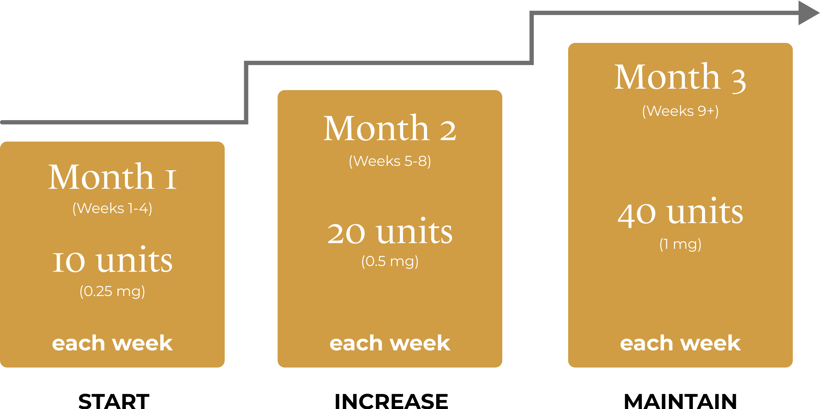 Semaglutide Dosing Plan