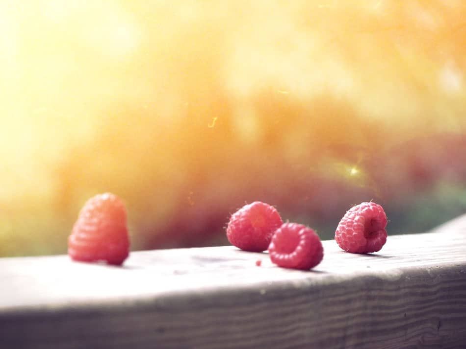 berries