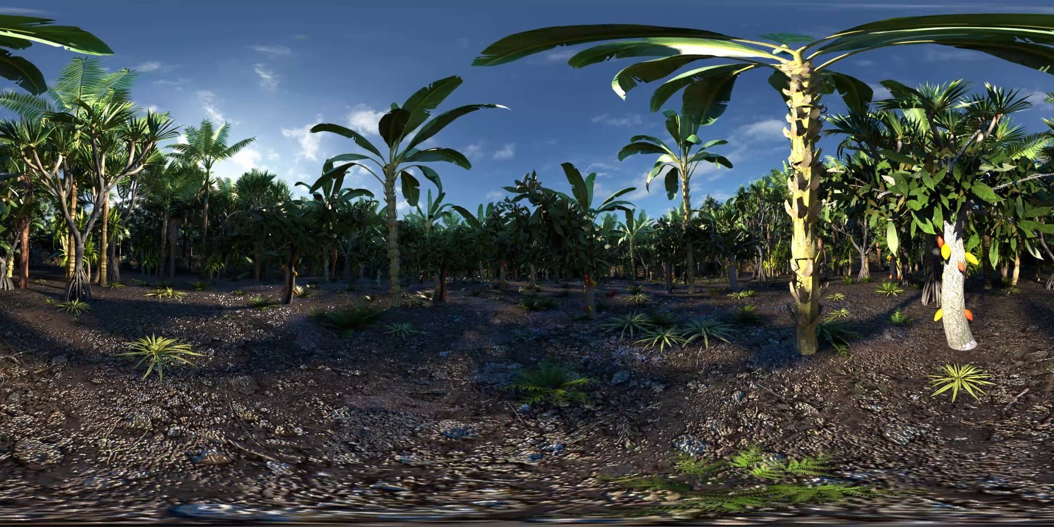 Cémoi video 3D 360 VR