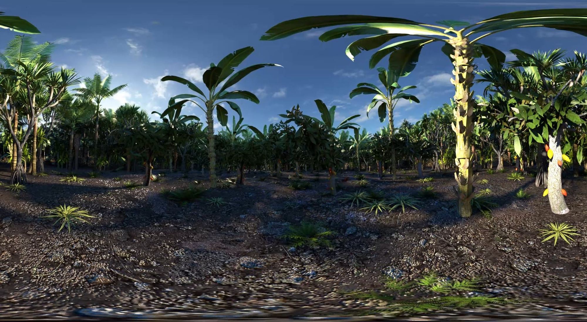 Cémoi 3D 360 VR film