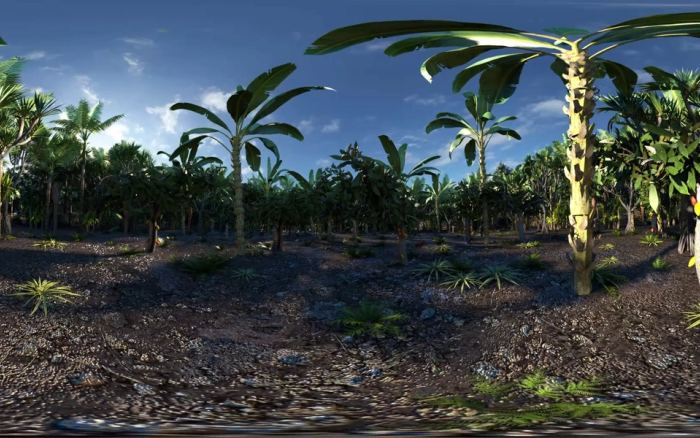 Cémoi video 3D 360 VR