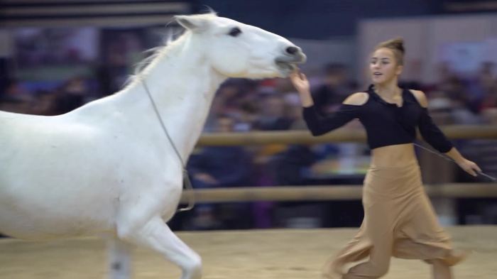 Equita Lyon 2019 – daily news