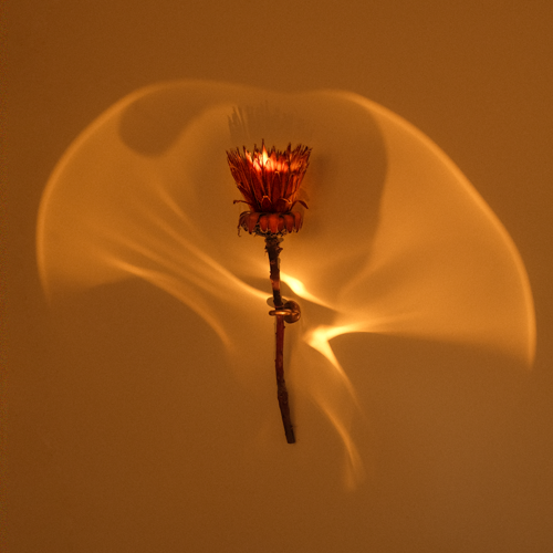 sconce_light_II_mobile_03