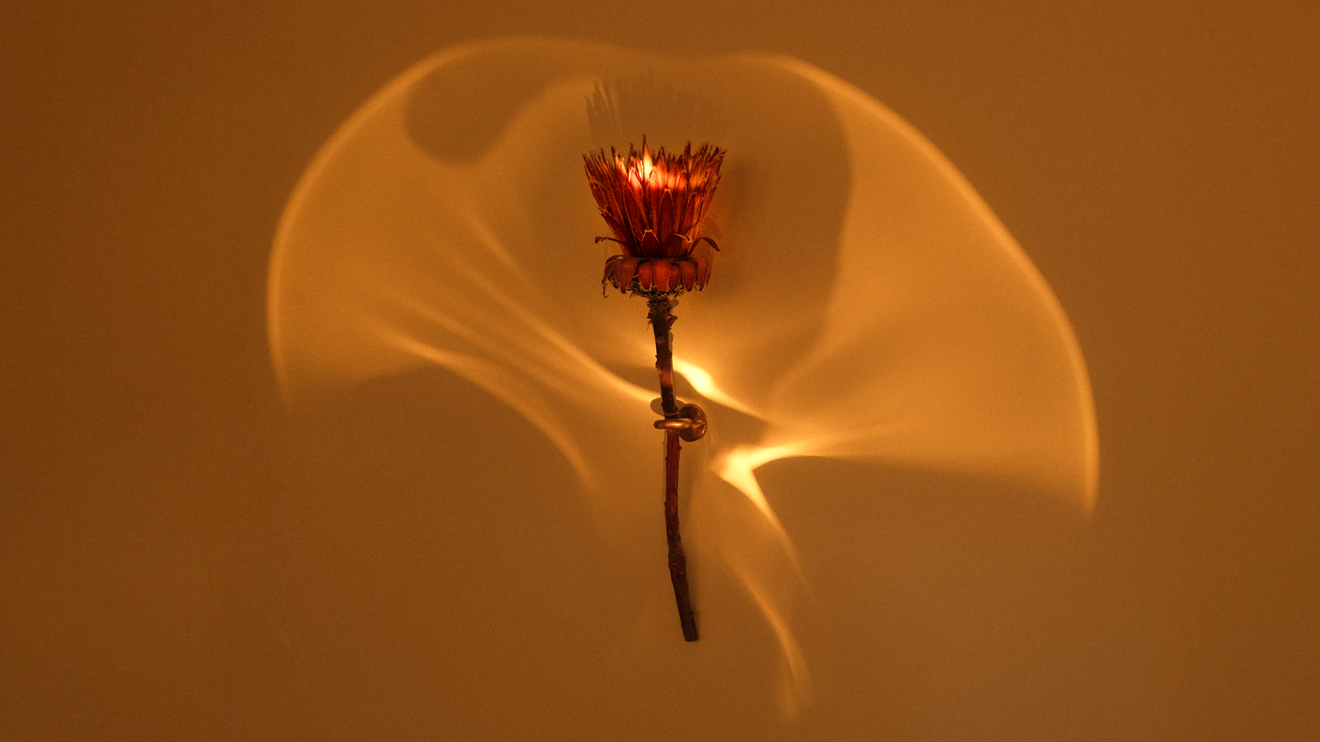 sconce_light_II_desktop_03