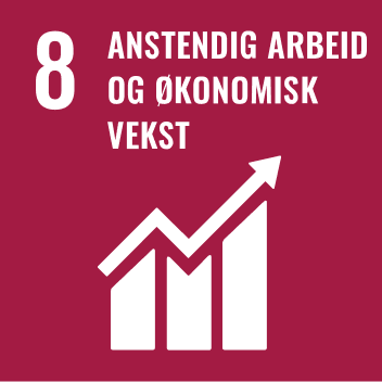 FNs bærekraftmål nummer 8